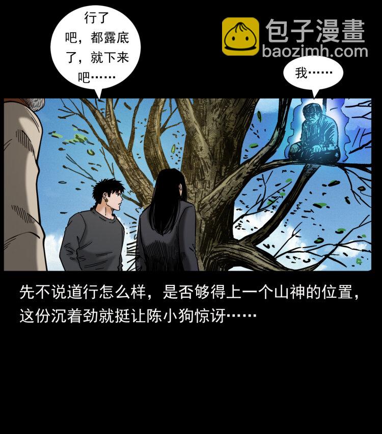 466 萨满的世界11