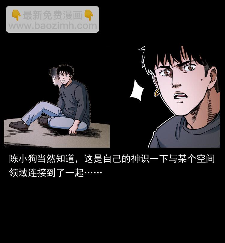 466 萨满的世界87