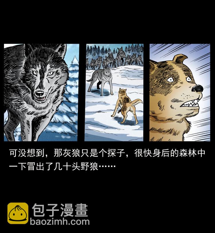 469 冻土的世界71