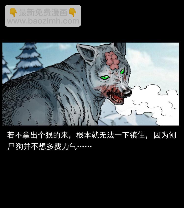 469 冻土的世界81