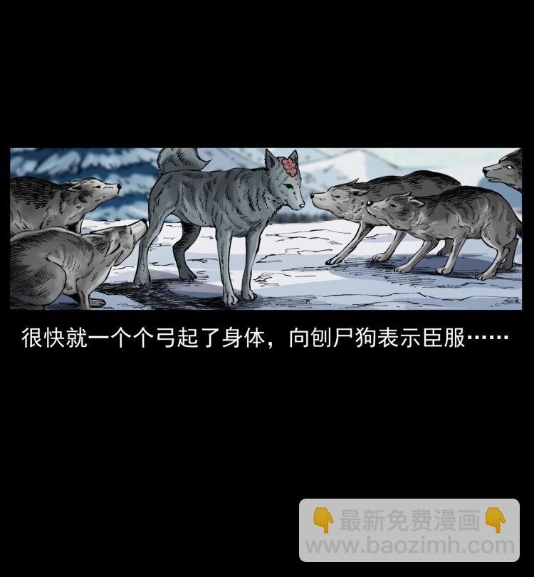 469 冻土的世界83