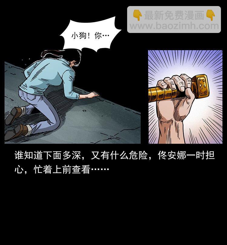 478 打够了43