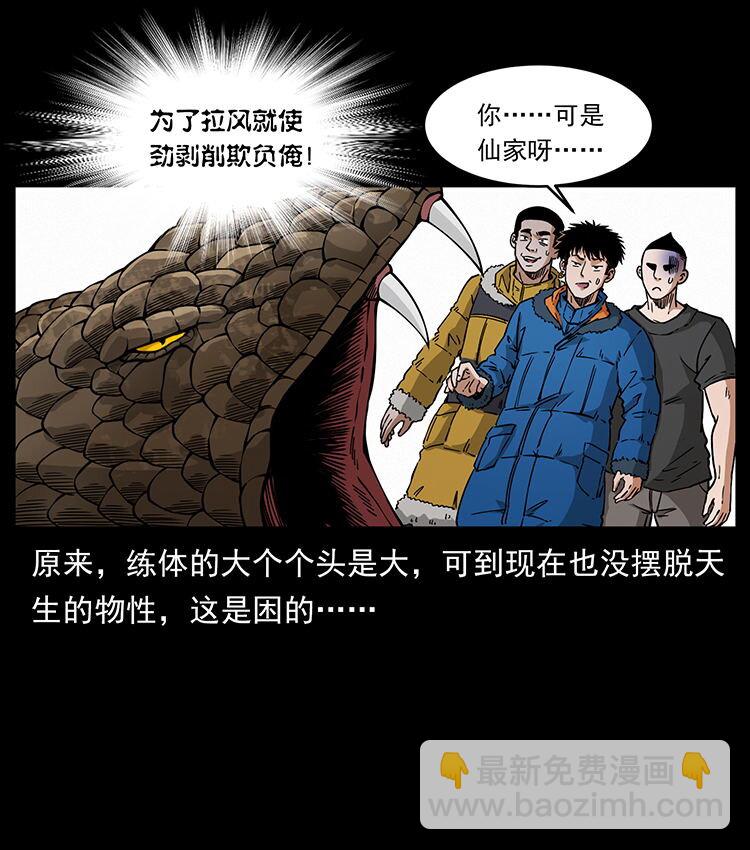 480 萨满来了！29