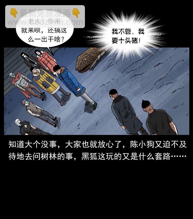 480 萨满来了！30