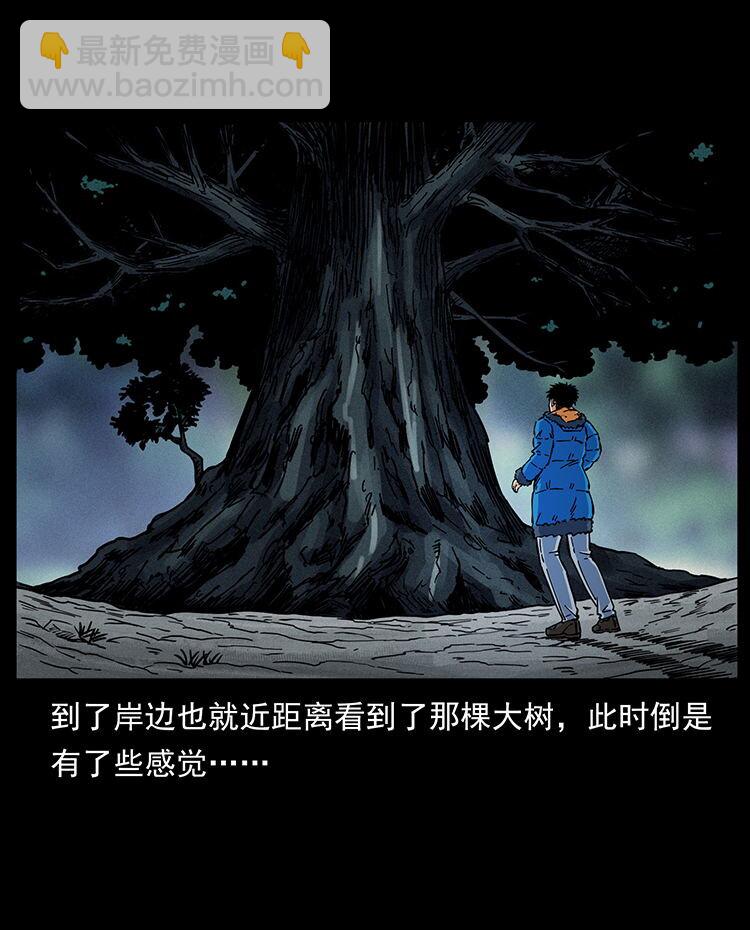 481 树29