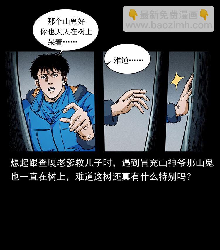 481 树31