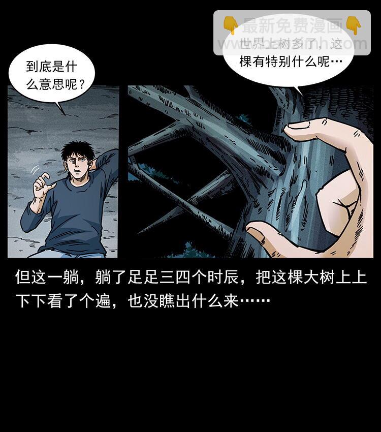 481 树36