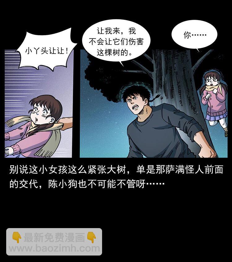 481 树42