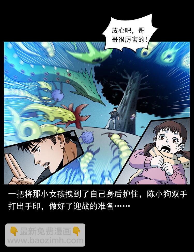 481 树43