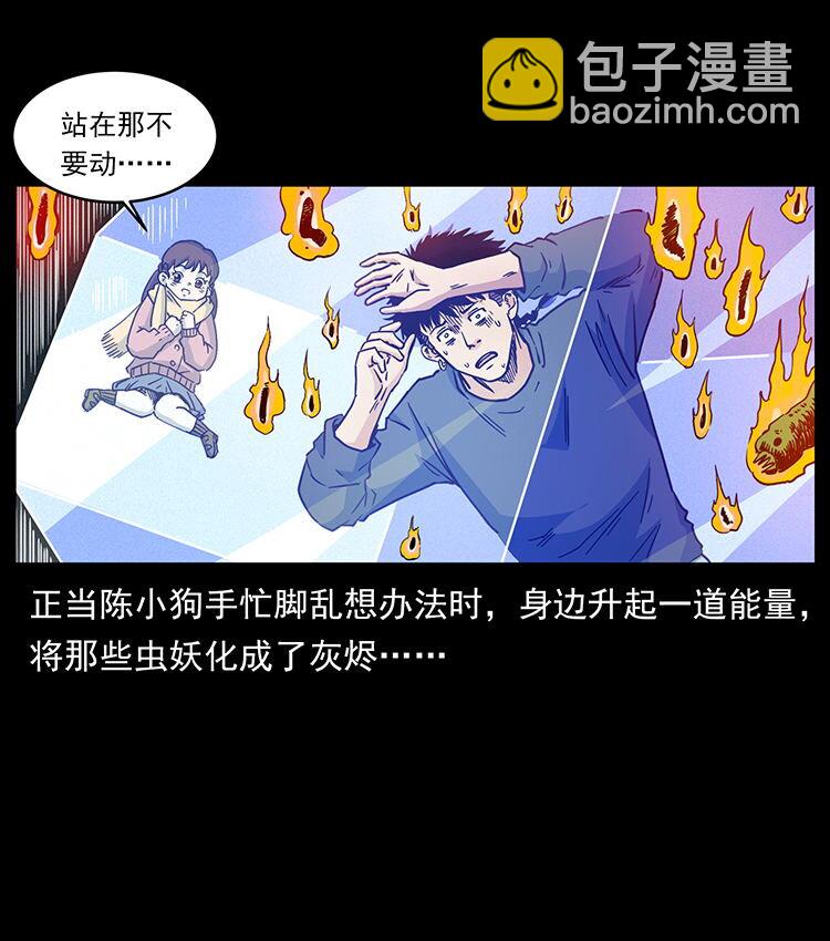 481 树51