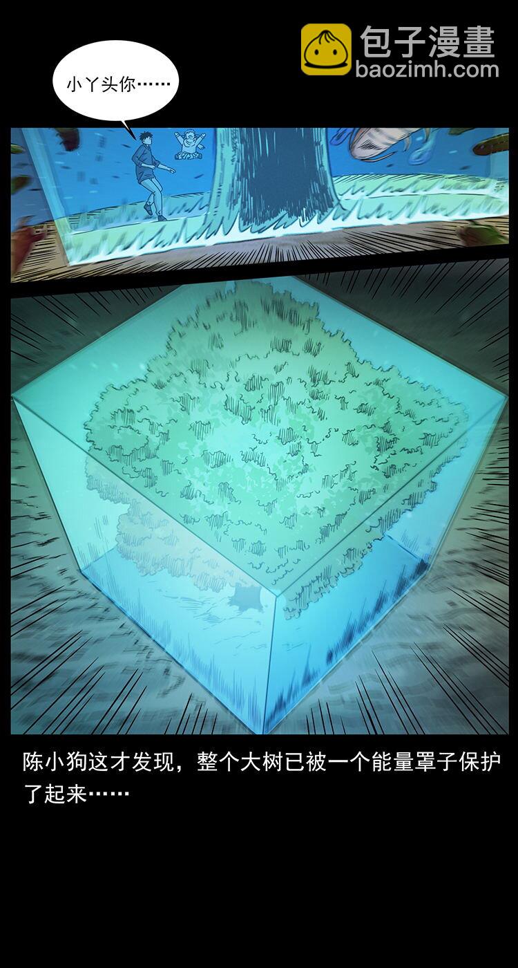 481 树52