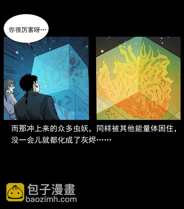 481 树53