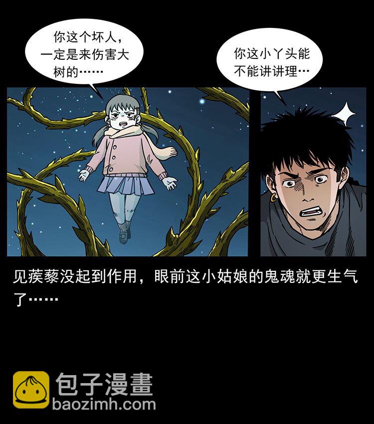 481 树61