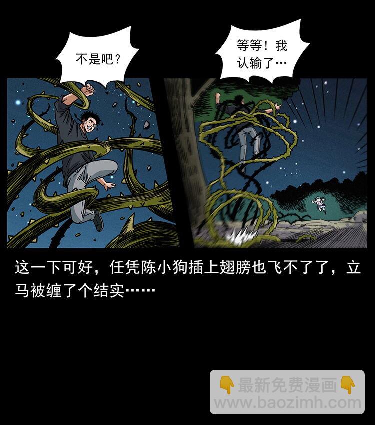 481 树69