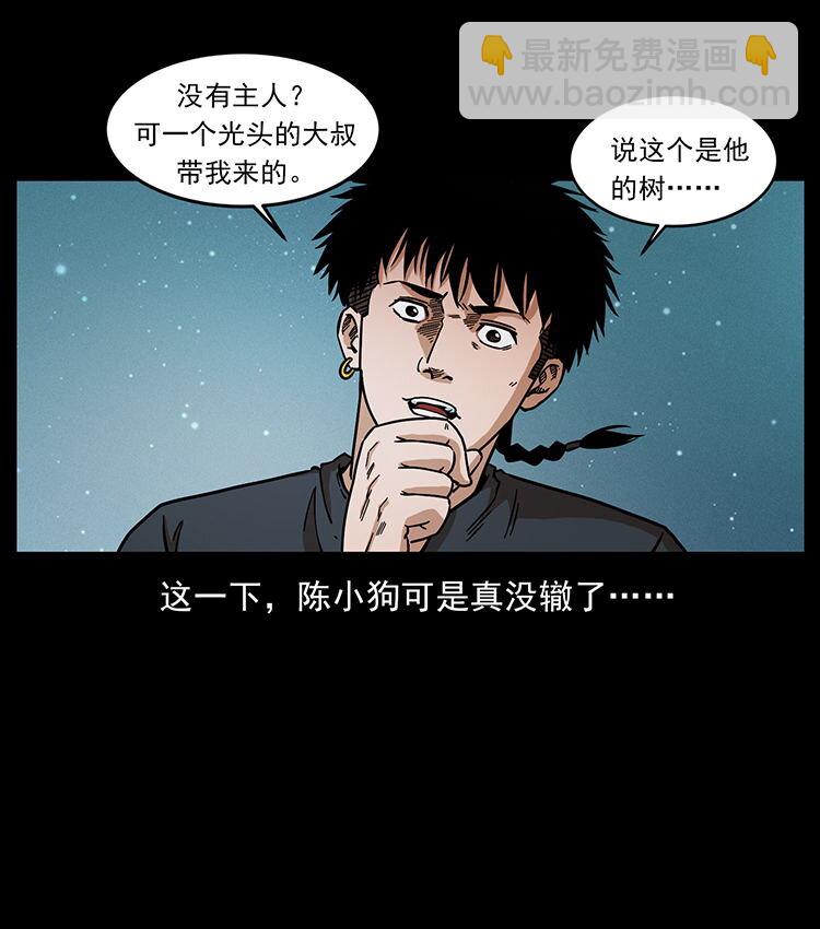 481 树75