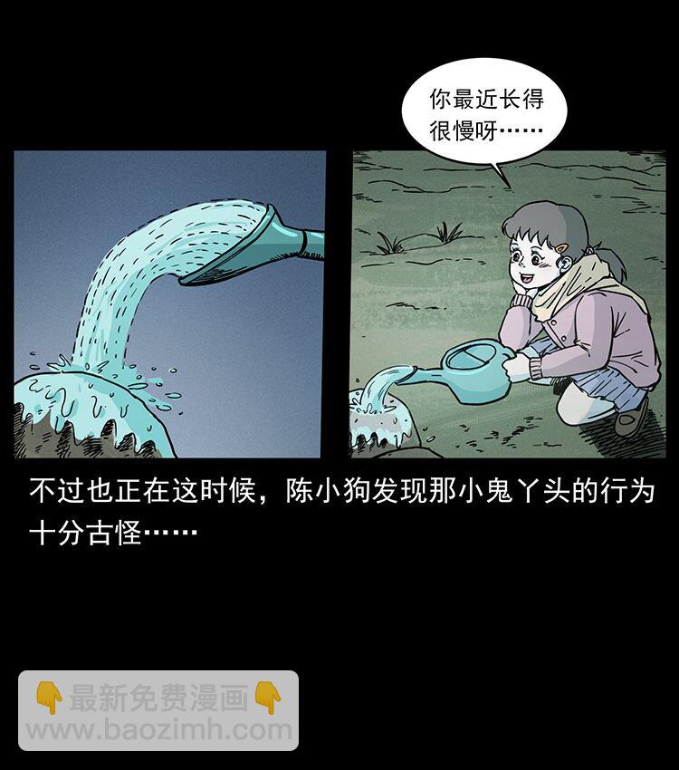 481 树78