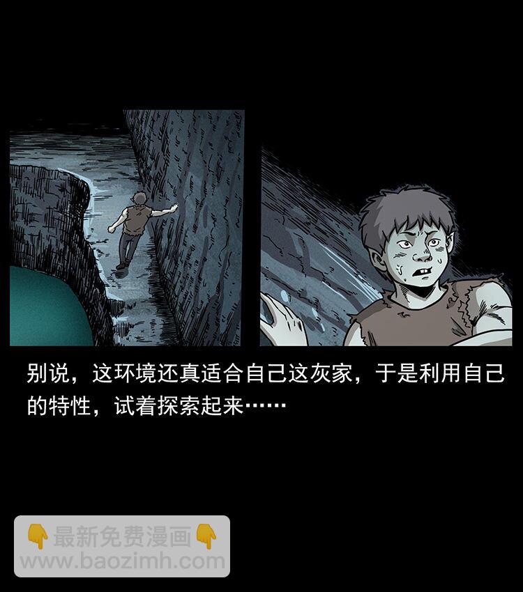 482 以树为启点11