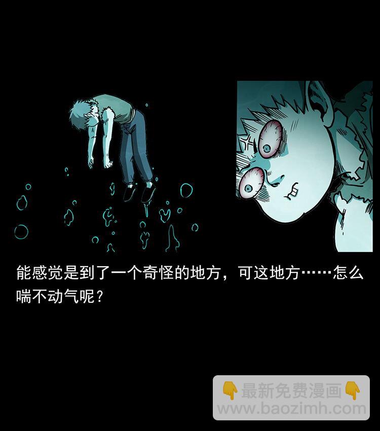 482 以树为启点5