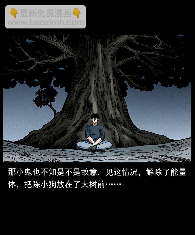 482 以树为启点63