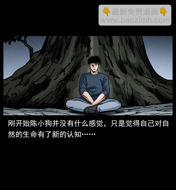482 以树为启点64