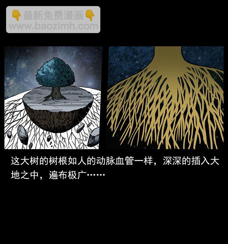 482 以树为启点77