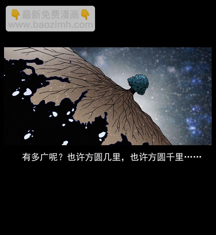 482 以树为启点78