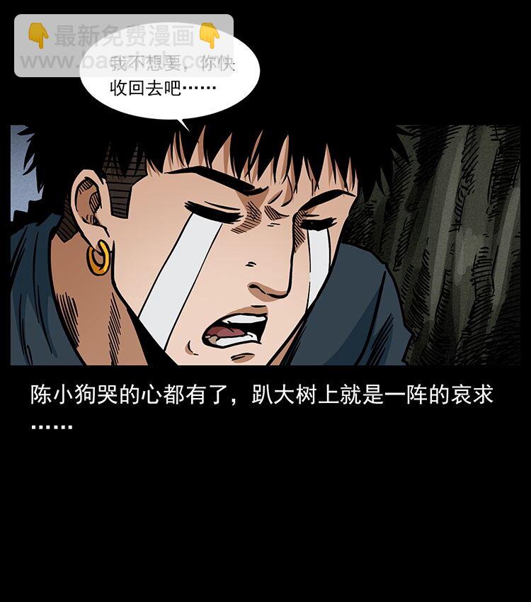 482 以树为启点86