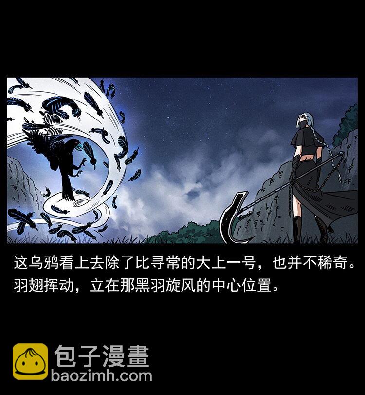 484 极地鸦族21