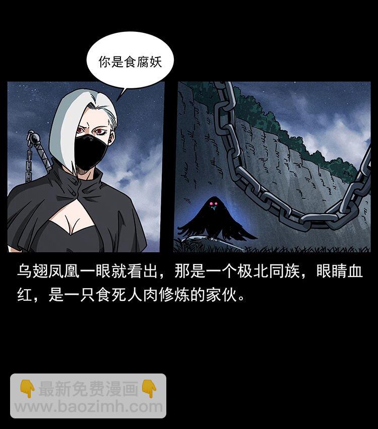 484 极地鸦族22