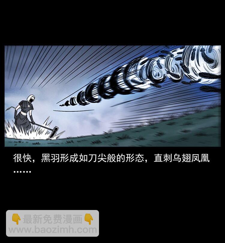 484 极地鸦族26