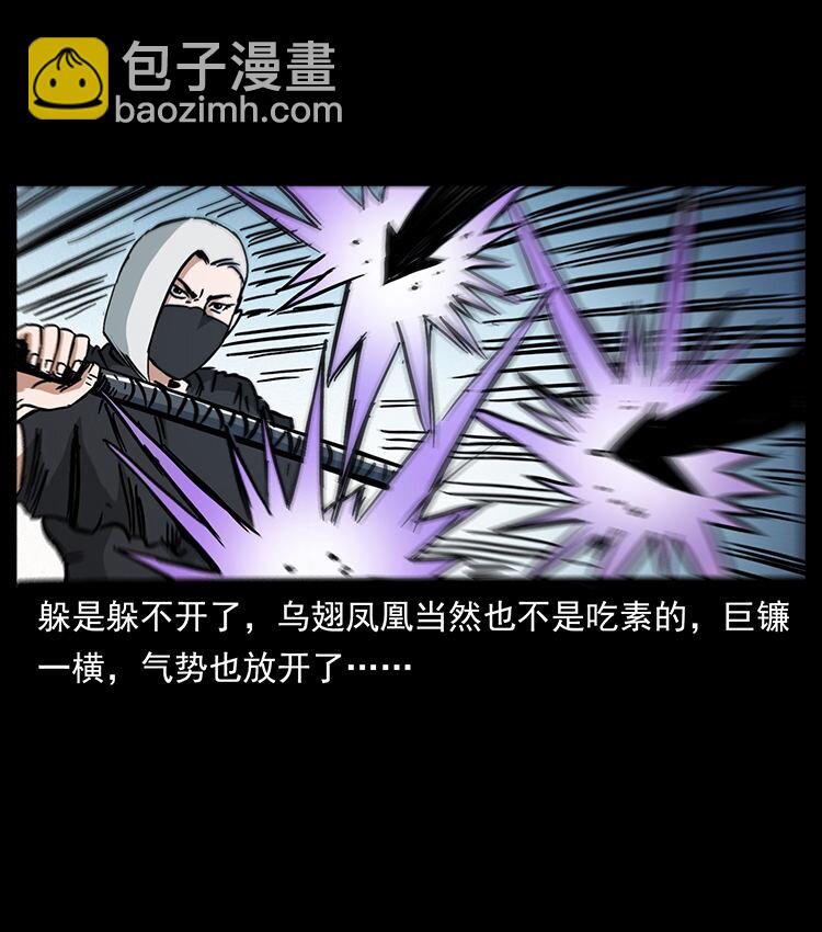 484 极地鸦族35