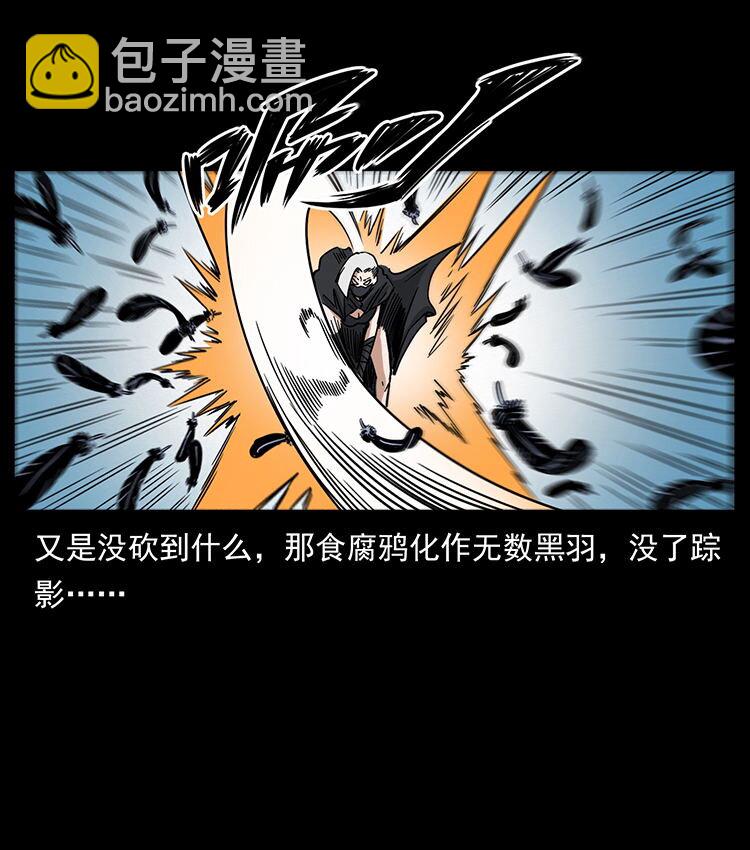 484 极地鸦族38