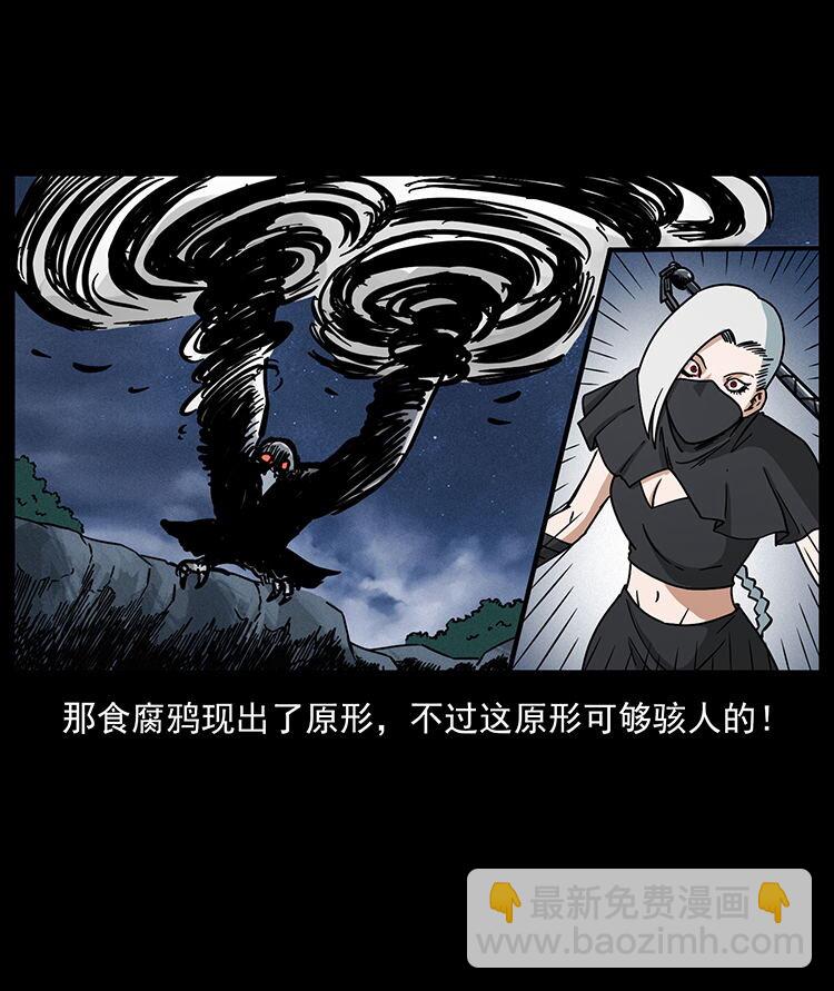 484 极地鸦族43