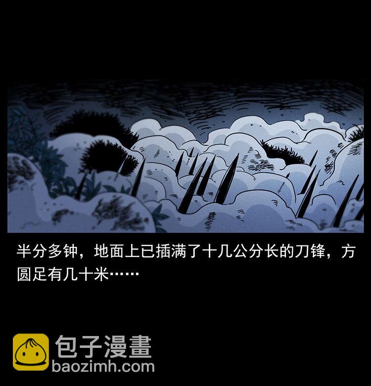 484 极地鸦族55