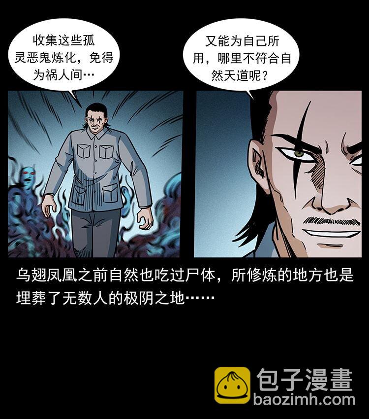 484 极地鸦族72