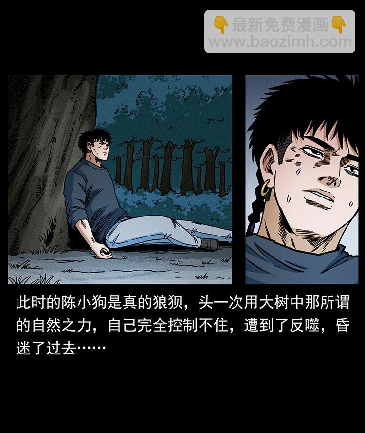 484 极地鸦族88