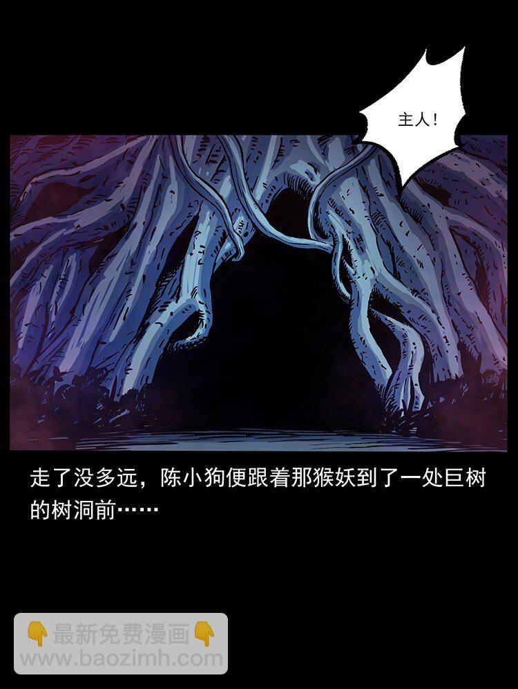 490 黑暗森林41