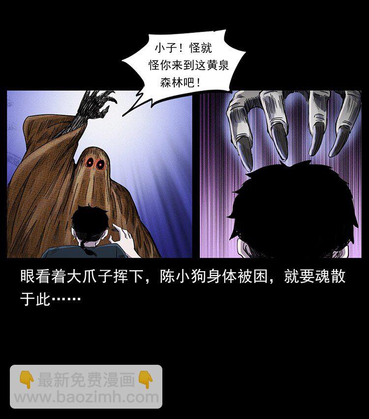 490 黑暗森林55