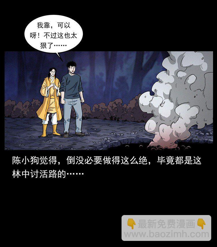 493 极幽11