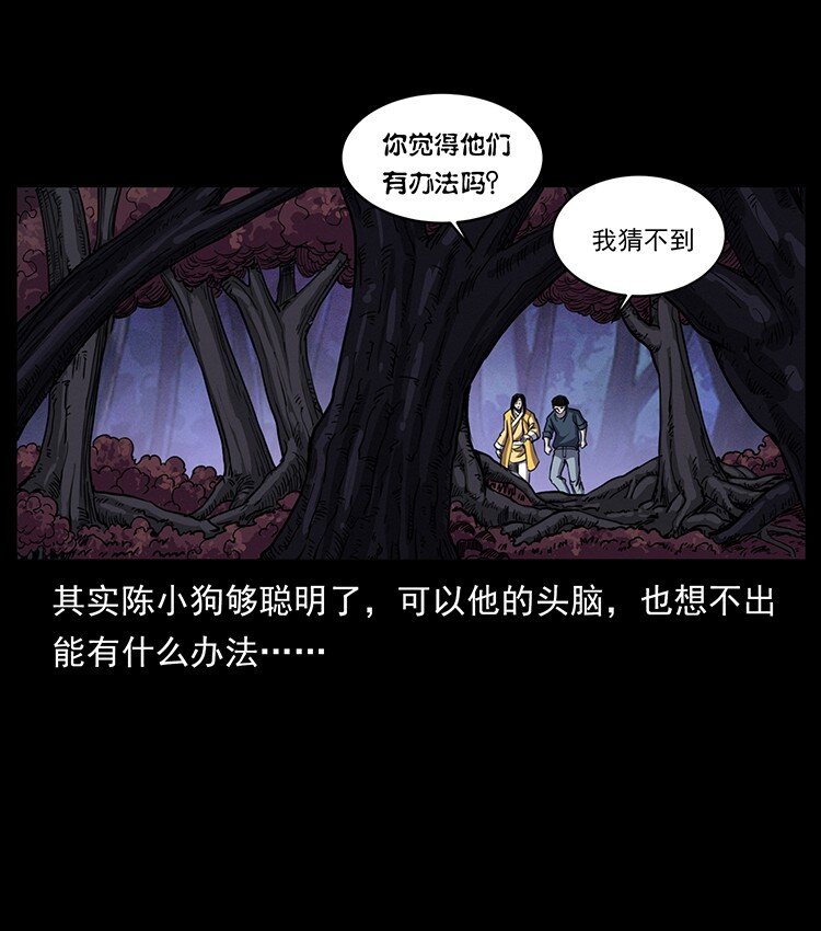 495 计对计74