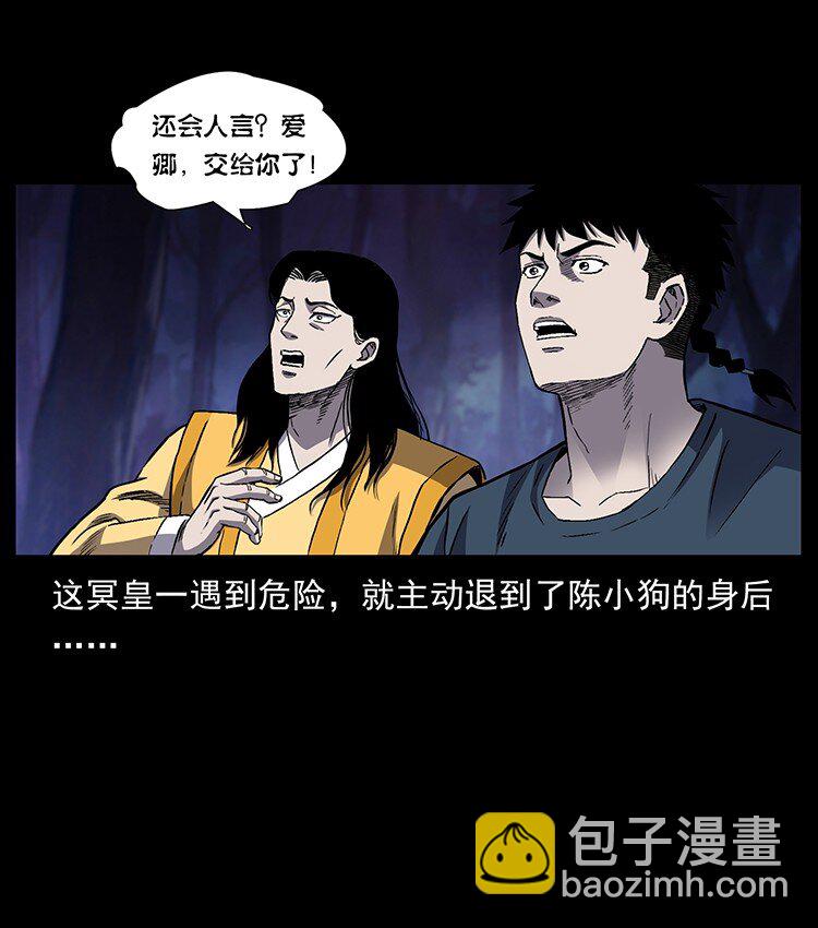 495 计对计82