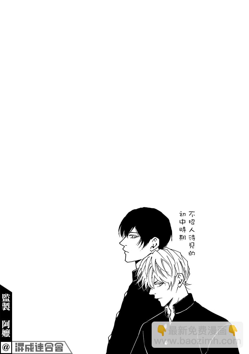 第15卷附录8