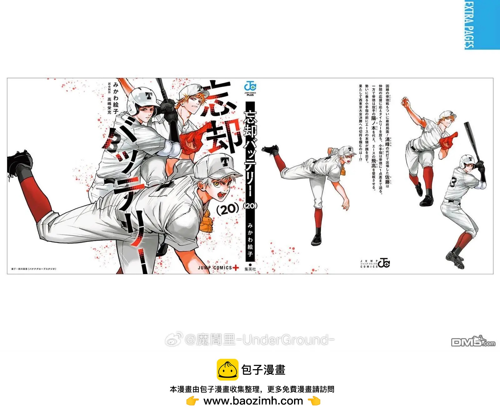第20卷附录8