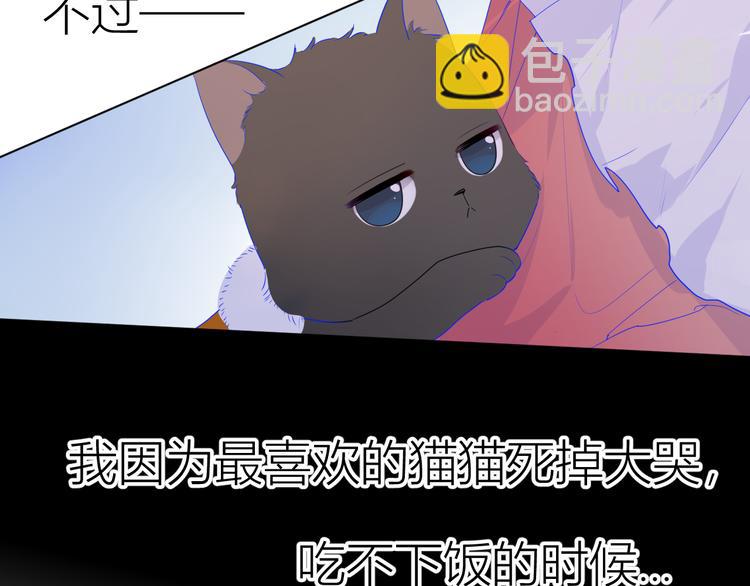 第27话 新年与回忆40