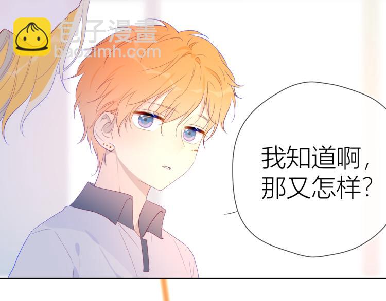 第52话 我们的森林18