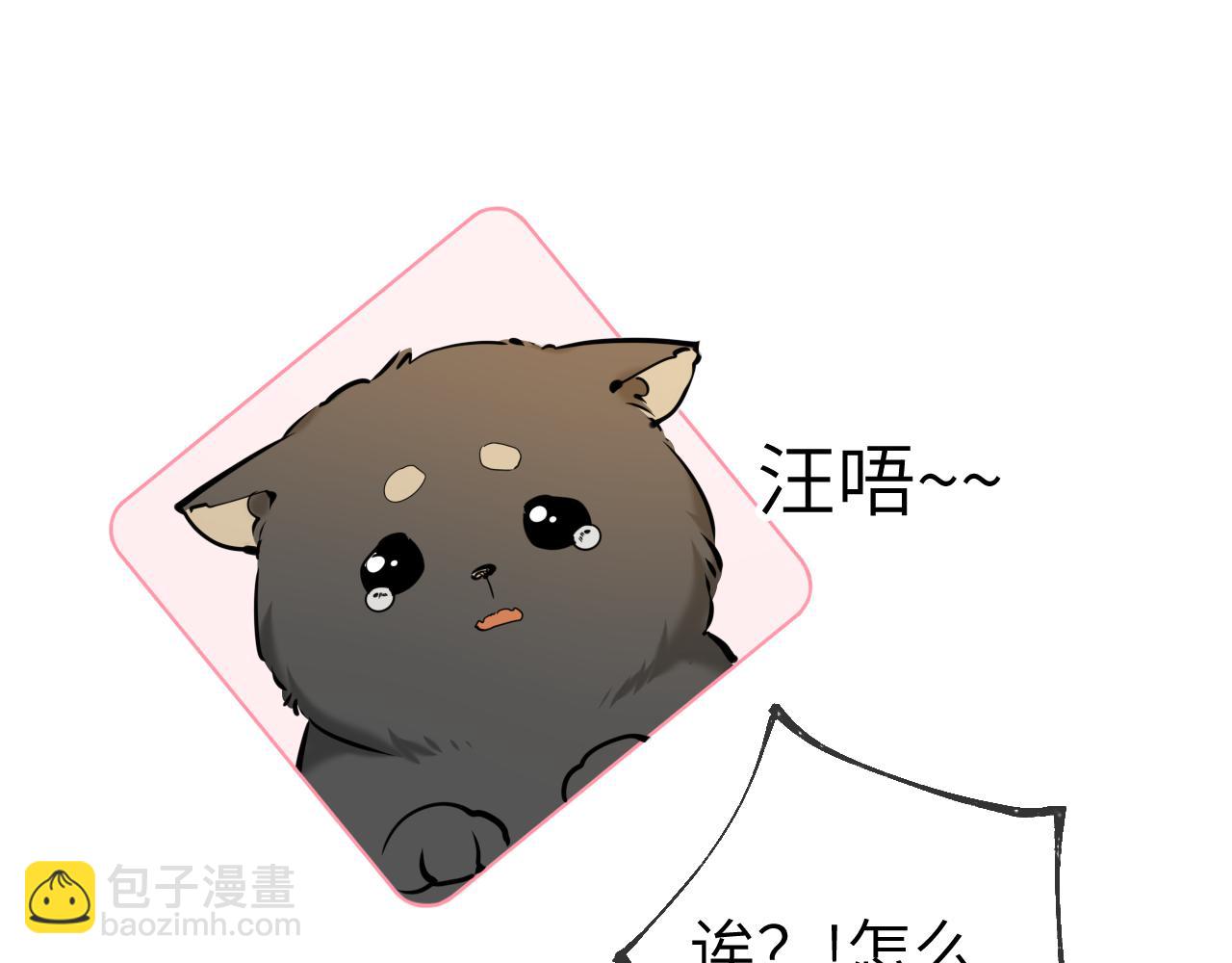 第78话 新家，美少女与狗62