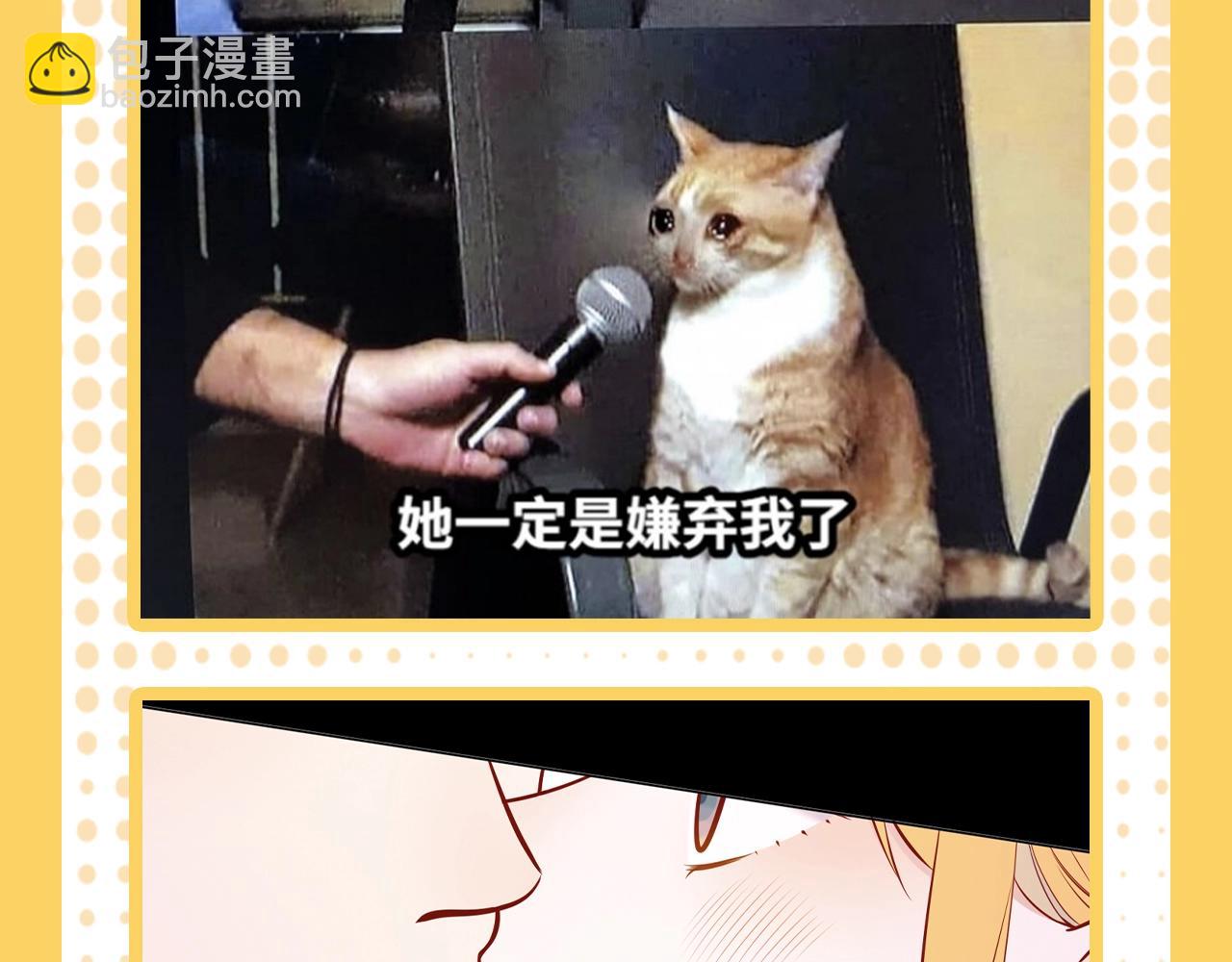 第38期 一波梗图来袭！12