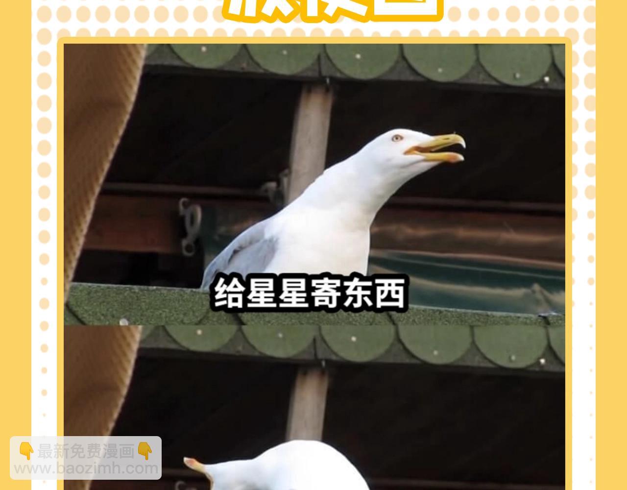 第38期 一波梗图来袭！2