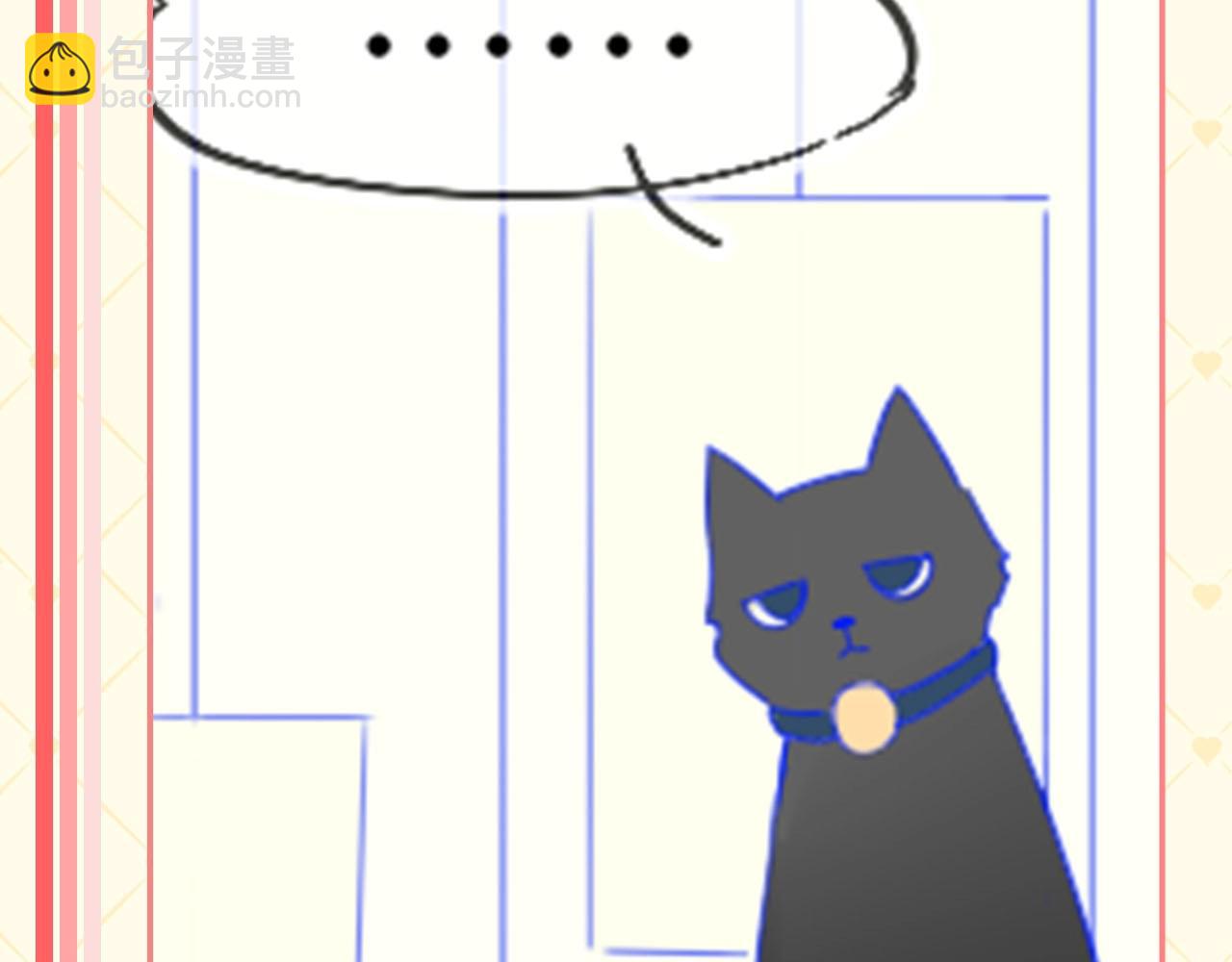第40期 猫猫仙贝的悠闲生活5