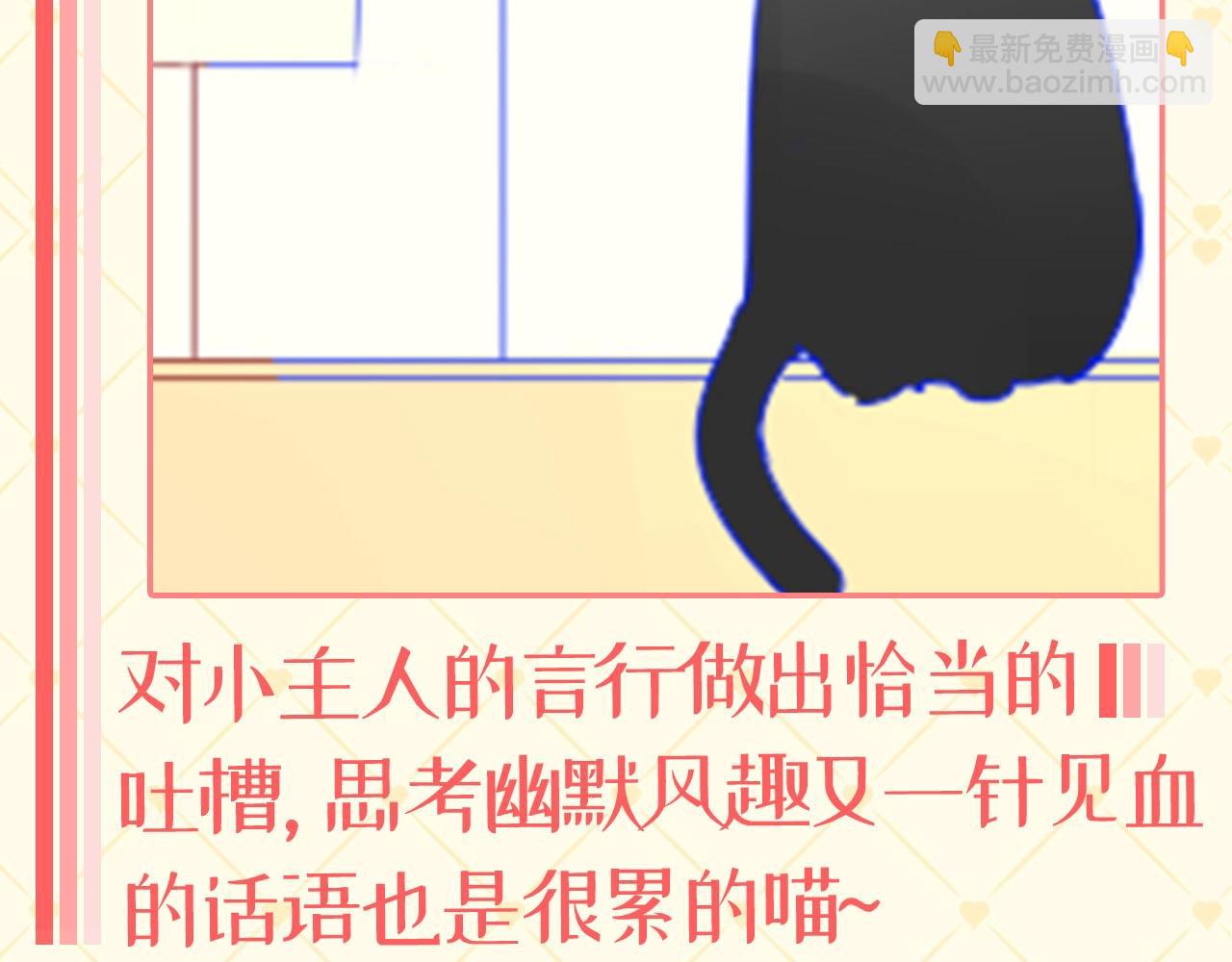 第40期 猫猫仙贝的悠闲生活6